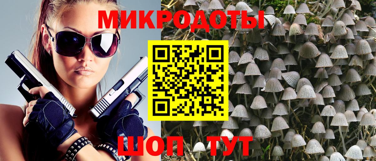 Псилоцибиновые грибы прущие грибы Ленинск-Кузнецкий